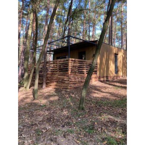 Apartamenty Szumi Las