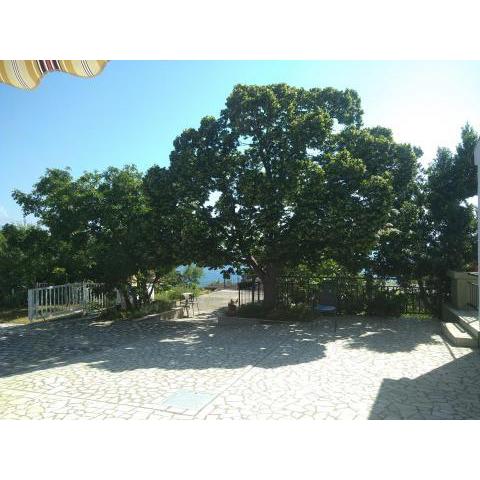 Apartman Martin