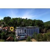 Apartmani Toplice