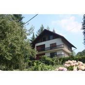 Apartment Pogled