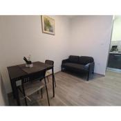Apartment Tanja Oldtown