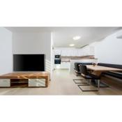 Apartment Vinko