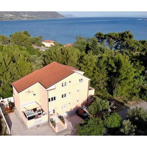 Apartments by the sea Orebic, Peljesac - 14767
