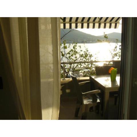 Apartments Selina