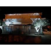 Apartments with a parking space Vir - 20163