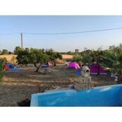 Aree tende presso la casa in campagna di Ottavia