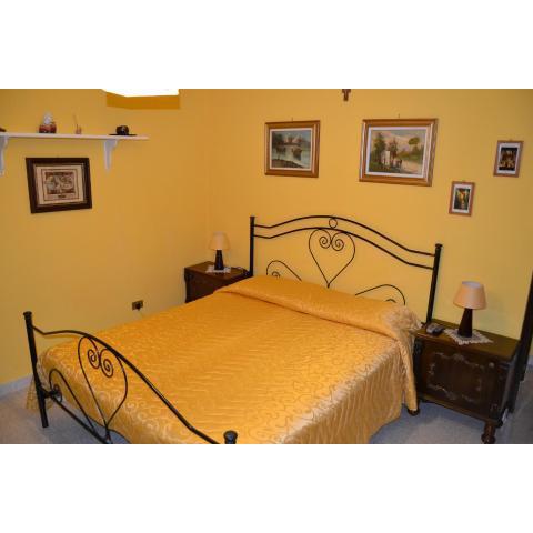 B&B Ausculum