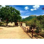 B&B Fonte Vena