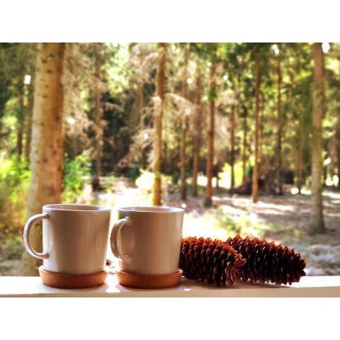 Całoroczny domek w lesie w wyjątkowym klimacie