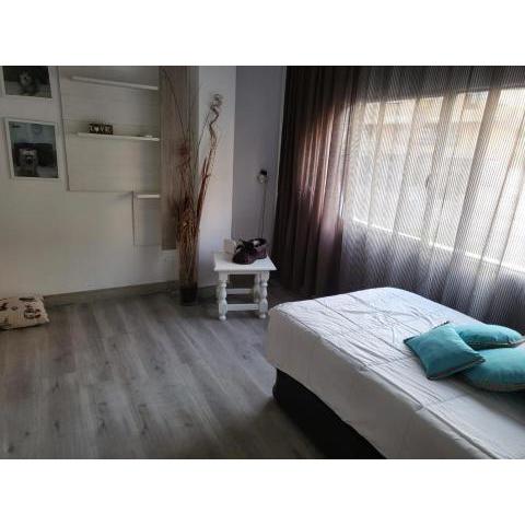 Casa Violeta