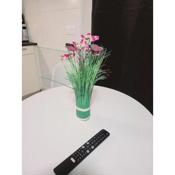 Cosy appartement Pierrefitte sur seine proche Paris