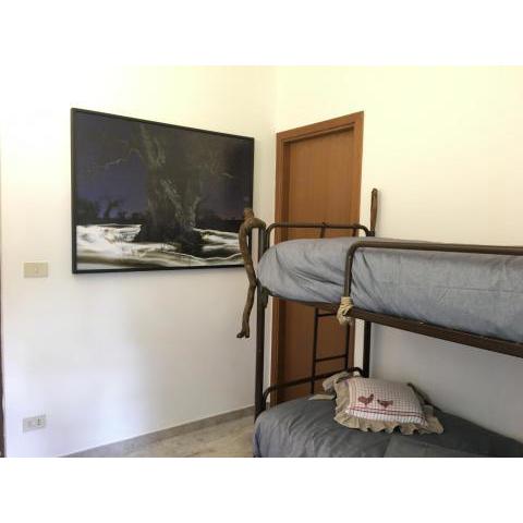 Garola Coccodè 2