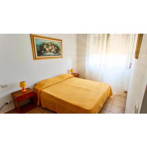 Hippocampus B&B