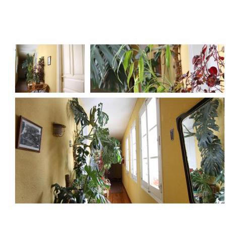 Hostal Bayón