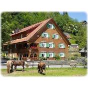 Hotel Gasthaus Schäfle
