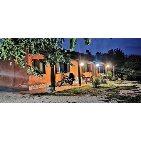 Il girasole b&b