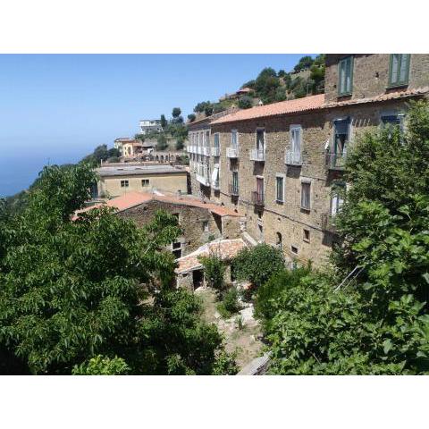 Palazzo Pisani Residenza Storica Pollica