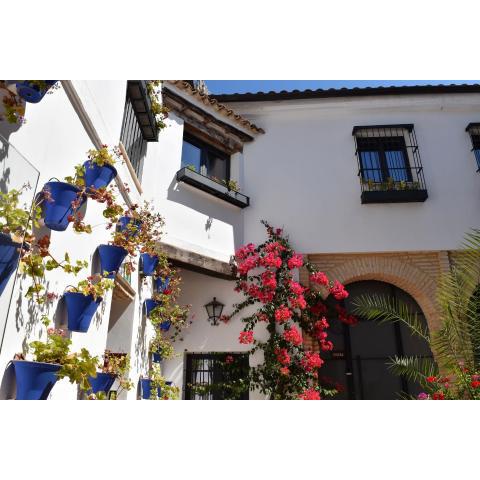 Patio San Andrés