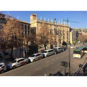 Plaza Nueva's House