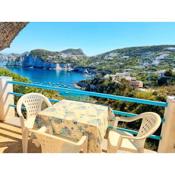 Ponzacasevacanze- La terrazza di Cala Feola