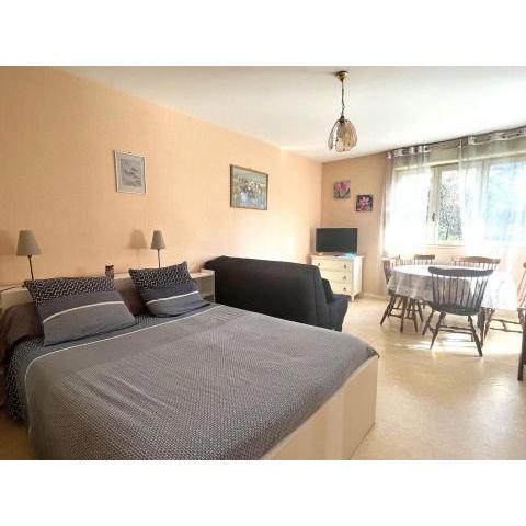 Studio Aix-les-Bains, 1 pièce, 2 personnes - FR-1-555-80