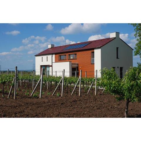 Ubytování Na Vinici