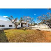 Villa Athena by BarbarHouse
