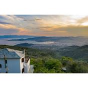 Villa Evzimthea, a wonderful house in the woods